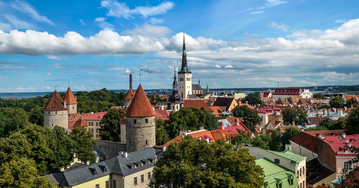 Comte and Herb Bread Dumplings